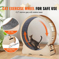 Load image into Gallery viewer, cat-exercise-wheel-safe-use-02-inch-narrow-gap-stable-base