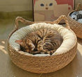 Load image into Gallery viewer, Natural Woven Cat Ear Bed in cattail, top-side view of the ear handles and cushion, rustic & natural cat furniture with a nice bengal cat sleeping.