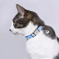 Load image into Gallery viewer, cat wearing sky bloom floral breakaway collar the charm