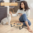 Load image into Gallery viewer, Dimensions of MeowShelf Kanto 15 degree tilted duo elevated cat dining set.