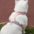 Load image into Gallery viewer, Back view of a white fluffy cat wearing a secure pink escape-proof harness while exploring outdoors.