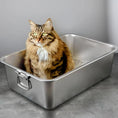 Load image into Gallery viewer, Sleek metallic finish of MeowShelf Mito odor-resistant premium litter pan.