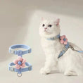 Load image into Gallery viewer, Owner holding leash of cat wearing MeowShelf Petal Stroll outdoor harness.