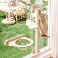 Load image into Gallery viewer, No-drill cat window perch with acrylic lounge seat — cat resting in natural light