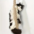 Load image into Gallery viewer, JUTE Climbing Rope in natural jute, front diagonal view of cat climbing interaction on wall-mounted cat shelves.