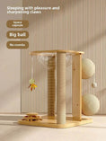 Load image into Gallery viewer, Cubby Gym 4-in-1 Wooden Cat Activity center with clear acrylic hammock, right angled view of stacked platform, a sturdy cat tower for play.