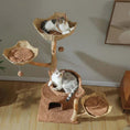 Load image into Gallery viewer, Sequoia Lodge Tree Cat Tower in natural bark-like texture, overhead view of multiple cozy platforms on a spacious large cat tree.