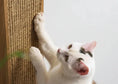 Load image into Gallery viewer, Vertical Vista Wall-Mount Scratcher in wood and sisal, cat interaction closeup of textured sisal surface for a durable cat climbing wall.