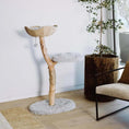 Load image into Gallery viewer, Willow Branch Minimalist Cat Perch in real wood, lifestyle side view of basket top with plush mid-tier, a stylish cat tree for the living room.