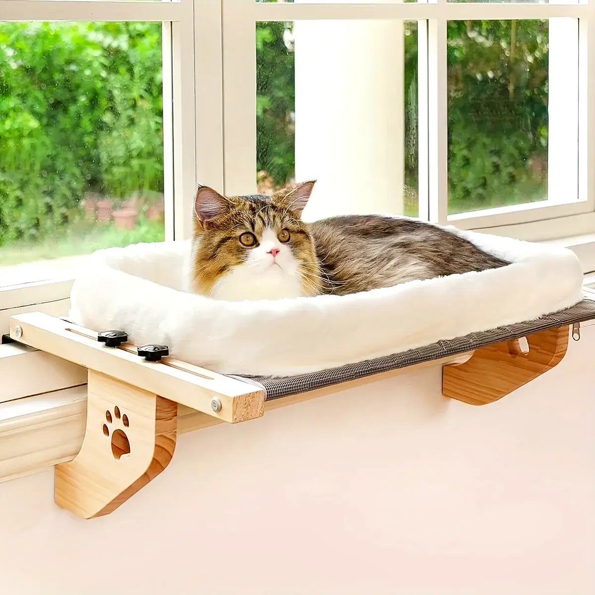 Renter-Friendly Cat Walls