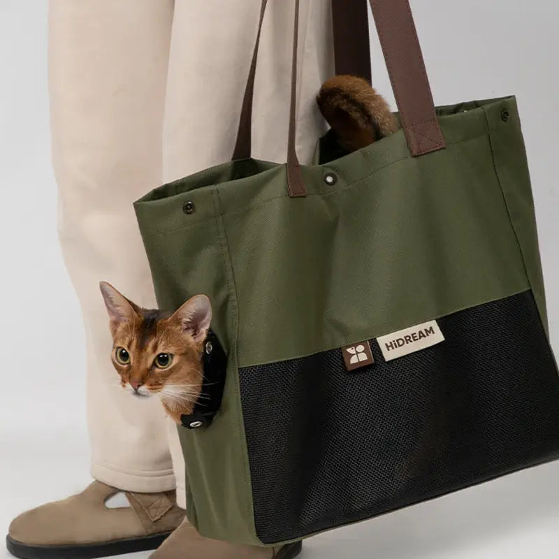 Cat Backpacks & Carriers: A Travel Guide