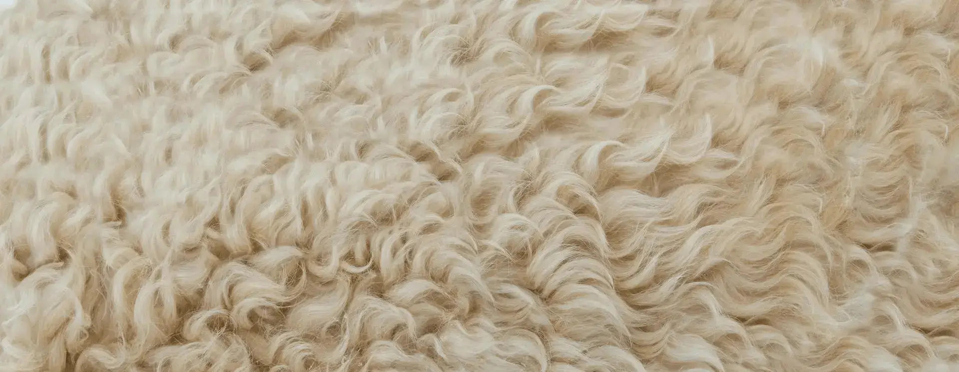 Merino Wool & Soft Plush