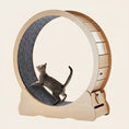 Load image into Gallery viewer, large-cat-exercise-wheel-natural-wood-grey-carpet-track-orbit-meowshelf
