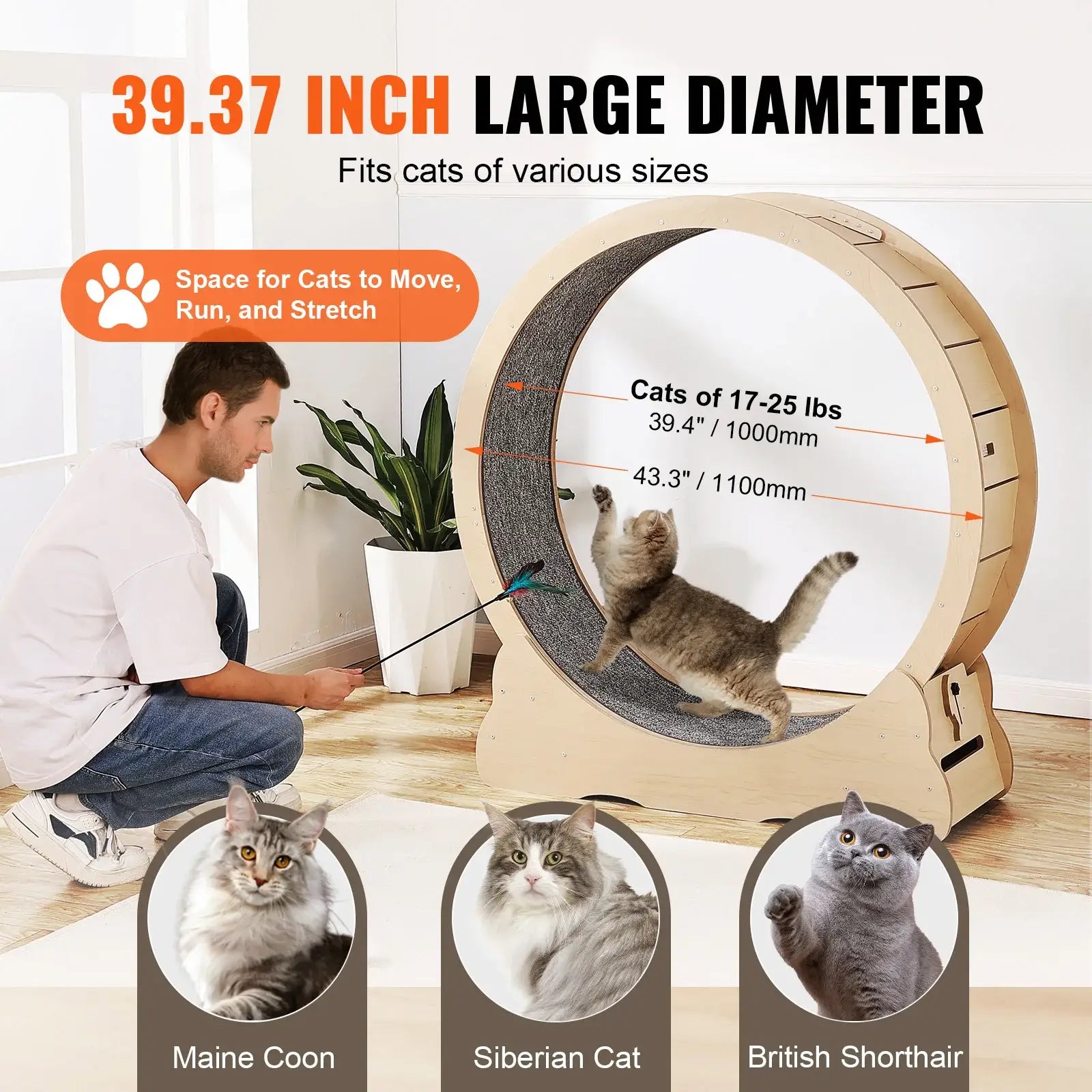 cat-exercise-wheel-39-inch-large-diameter-maine-coon-siberian-british