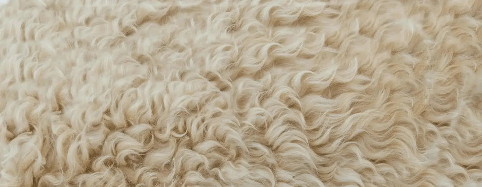 Close-up texture of soft, curly cream sherpa faux fur used for Meowshelf cat cushions.