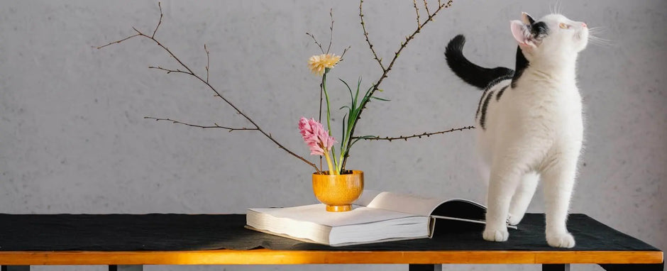 A black and white cat looking up next to a floral arrangement resting on an open book.