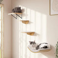 Load image into Gallery viewer, Cat lounging on MeowShelf Crescent wall-mounted aesthetic cat hammock shelf.

