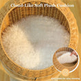Load image into Gallery viewer, Dino Rattan Cat Tree interior detail shot, plush cushion focus for a soft cat bed inside the wicker frame.
