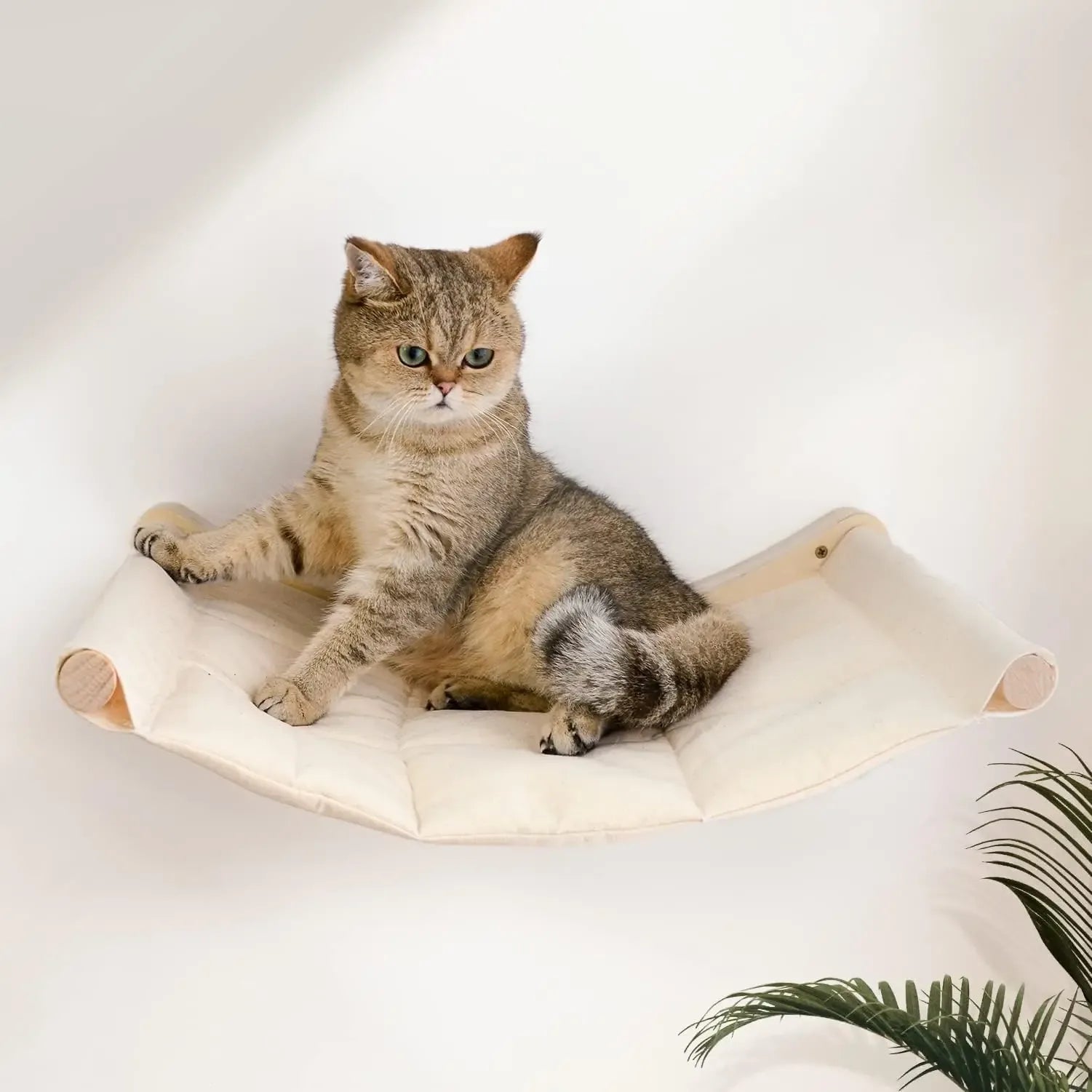 cat-wall-hammock-origami-solid-pine-frame-alert-pose