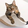 Load image into Gallery viewer, cat-relaxing-in-wall-mounted-cat-hammock-origami-close-up
