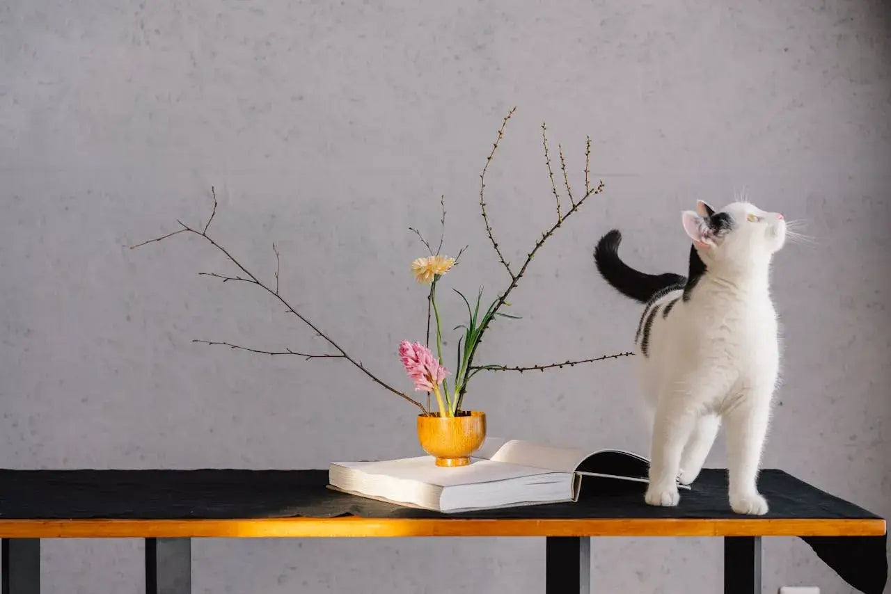 White cat sitting on natural wood minimalist console table with modern vase decor against gray wall