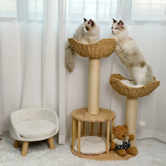 modern-cat-tree-the-hanami-duo-two-ragdolls-lounging-woven-baskets