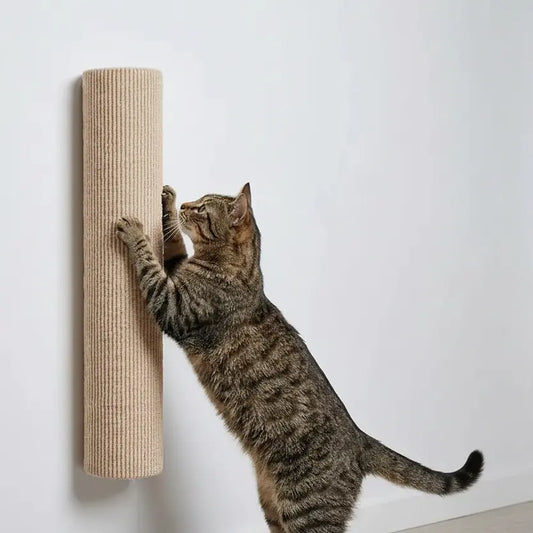 tan-no-drill-wall-scratcher-diameter-dimension-diagram-cat-climbing
