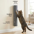 Load image into Gallery viewer, dark-no-drill-wall-scratcher-diameter-length-dimension-diagram-cat

