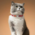 Load image into Gallery viewer, grey cat wearing engraved breakaway cat collar the charm
