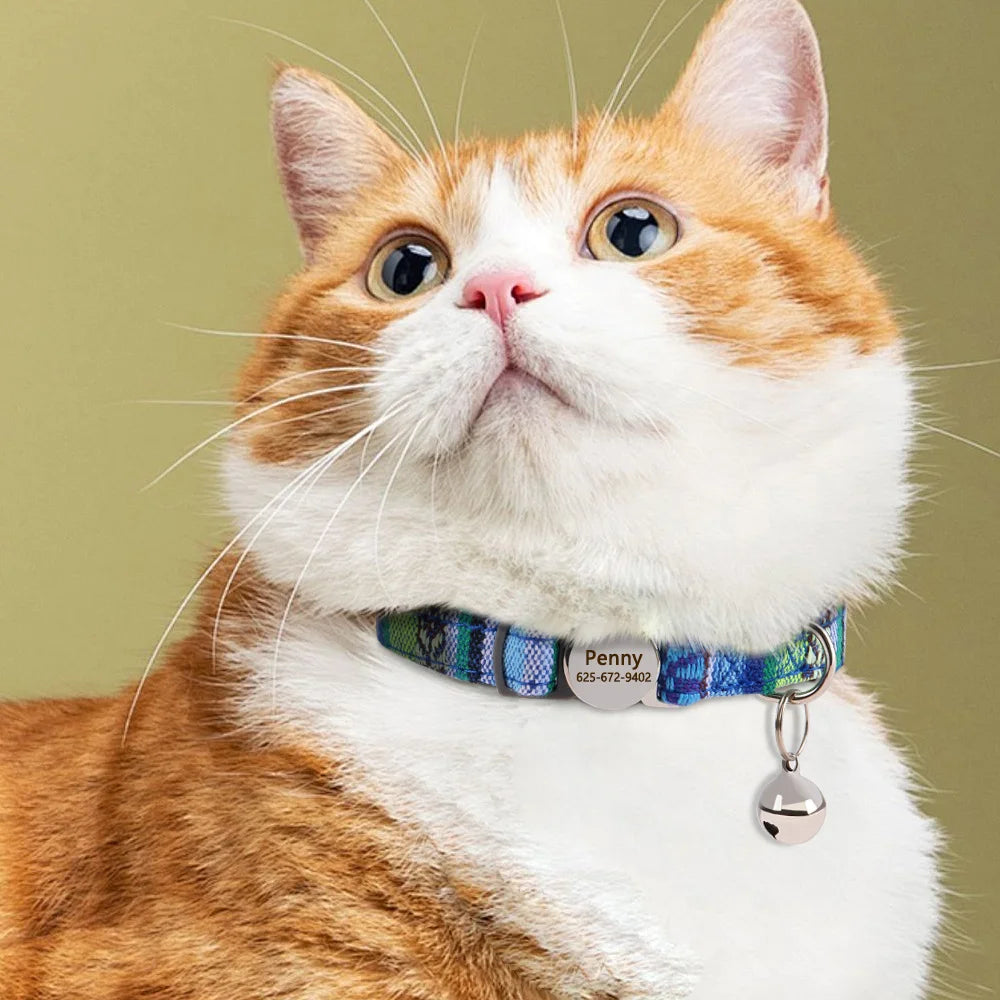 ginger cat wearing woven breakaway cat collar the charm