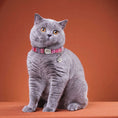 Load image into Gallery viewer, grey cat wearing personalized cat collar with name tag the charm
