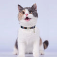 Load image into Gallery viewer, calico cat wearing personalized breakaway cat collar the charm midnight weave
