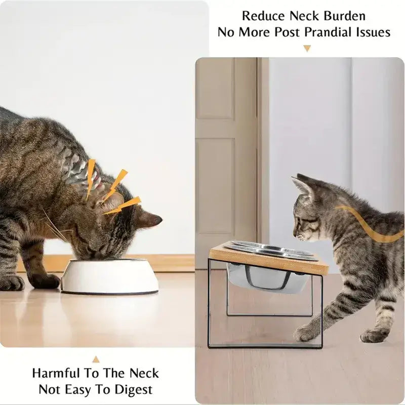 Two premium stainless steel bowls in MeowShelf Kanto raised double feeder.