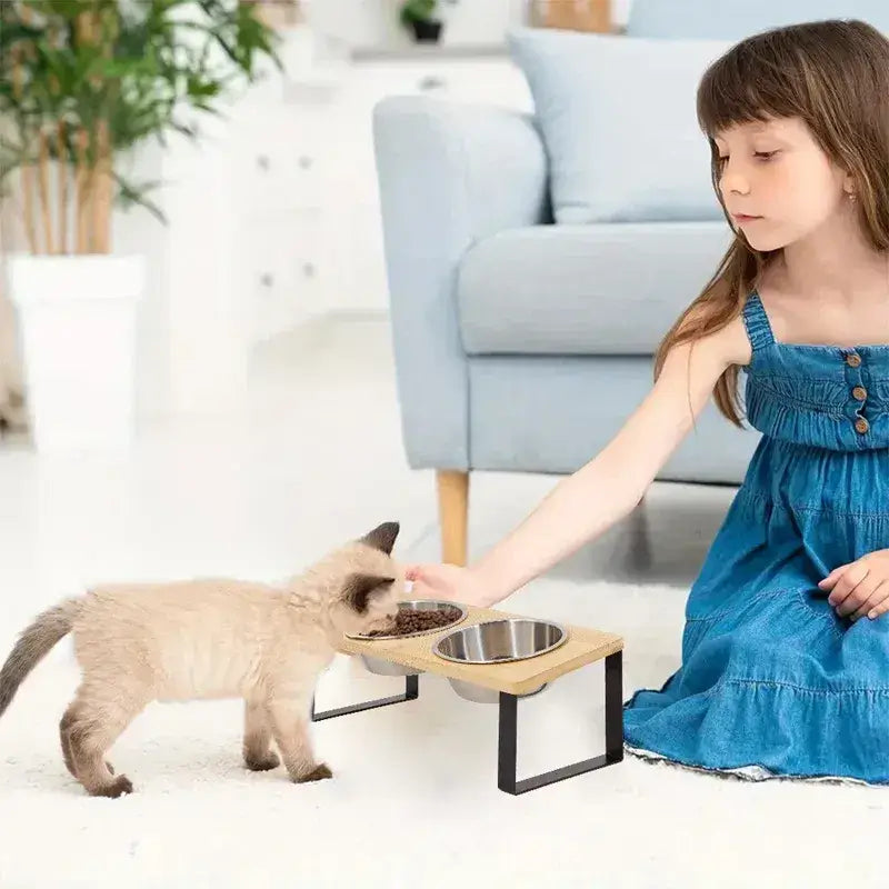 Mess-free elevated dining experience with MeowShelf Kanto duo cat feeder.
