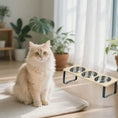 Load image into Gallery viewer, Spill-preventing raised design of MeowShelf Kyoto modern triple cat feeder.
