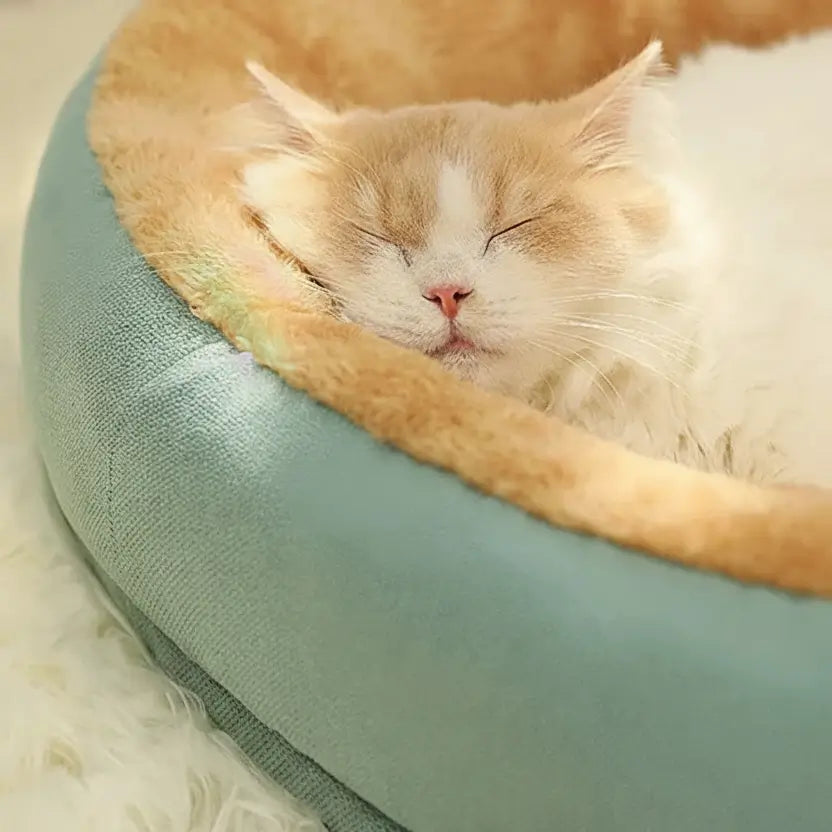 Fluffy cat sleeping peacefully in MeowShelf Cloud Oasis anti-anxiety bed.