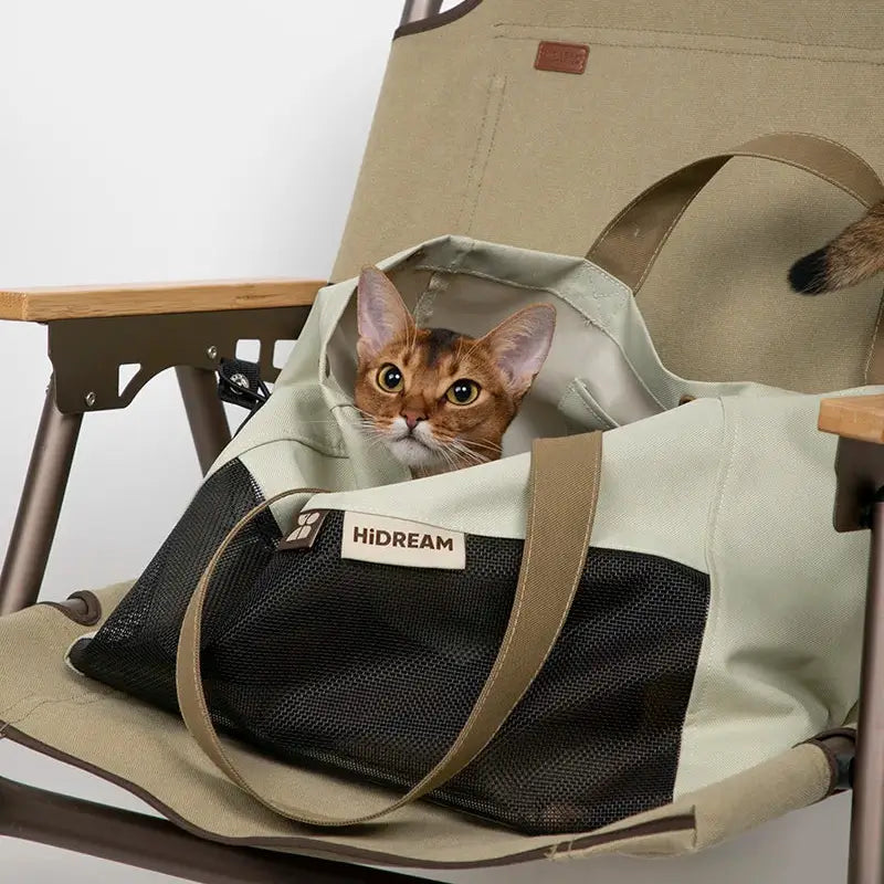 Cat resting comfortably inside the modern Nomad Carrier Tote placed on an outdoor chair.
