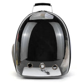 Lifestyle city stroll with aesthetic MeowShelf Panorama cat backpack.