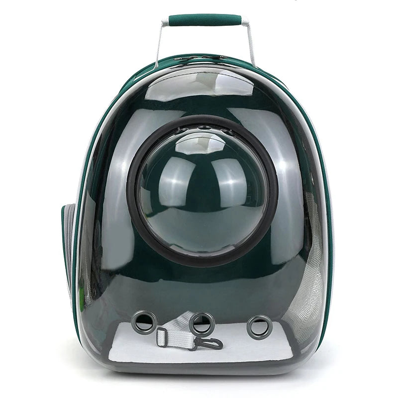 MeowShelf Panorama clear bubble cat backpack in natural outdoor lighting.