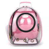 Internal safety leash hook inside MeowShelf Panorama cat backpack.