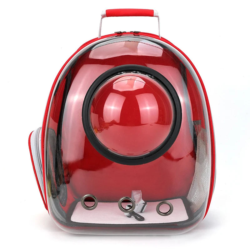 Clear Bubble Cat Backpack | Panorama