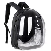 Owner wearing MeowShelf Panorama clear bubble cat backpack at the vet.