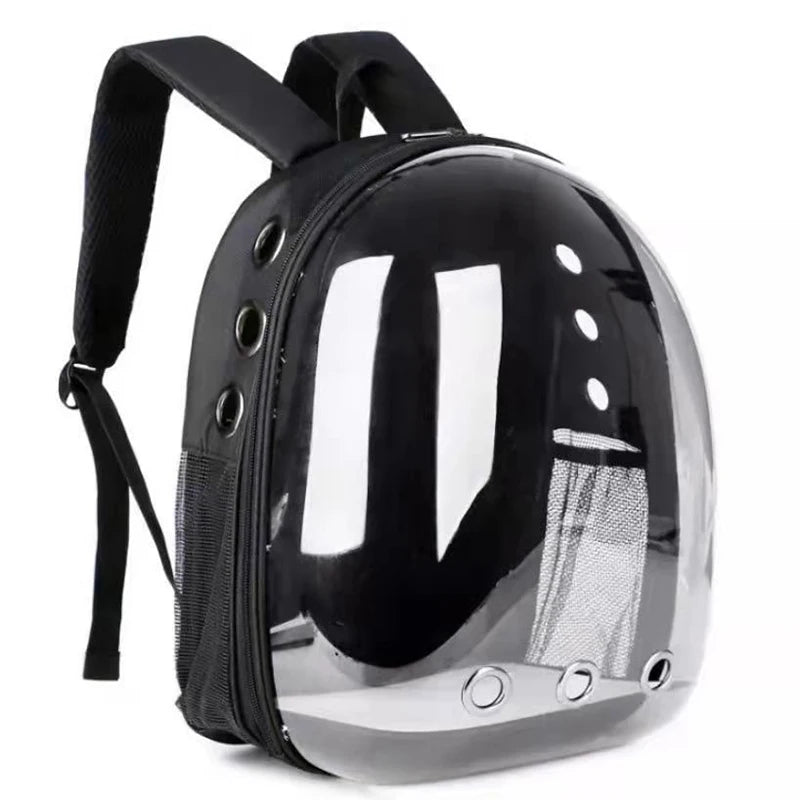 Owner wearing MeowShelf Panorama clear bubble cat backpack at the vet.
