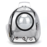 Front transparent shell view of MeowShelf Panorama premium cat carrier.