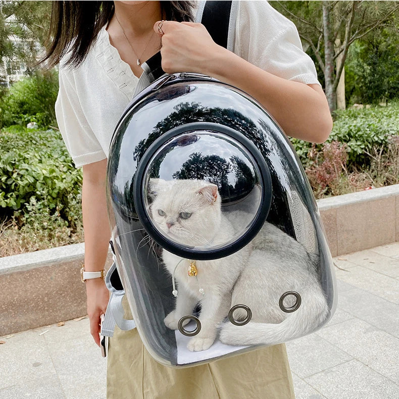 Front view of MeowShelf Panorama transparent polycarbonate cat backpack.