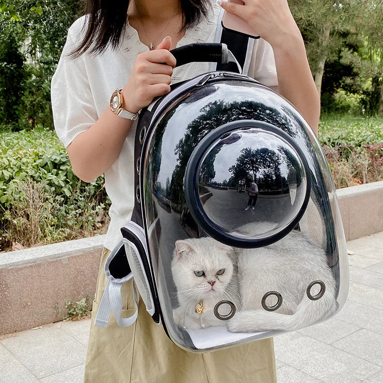 Clear Bubble Cat Backpack | Panorama