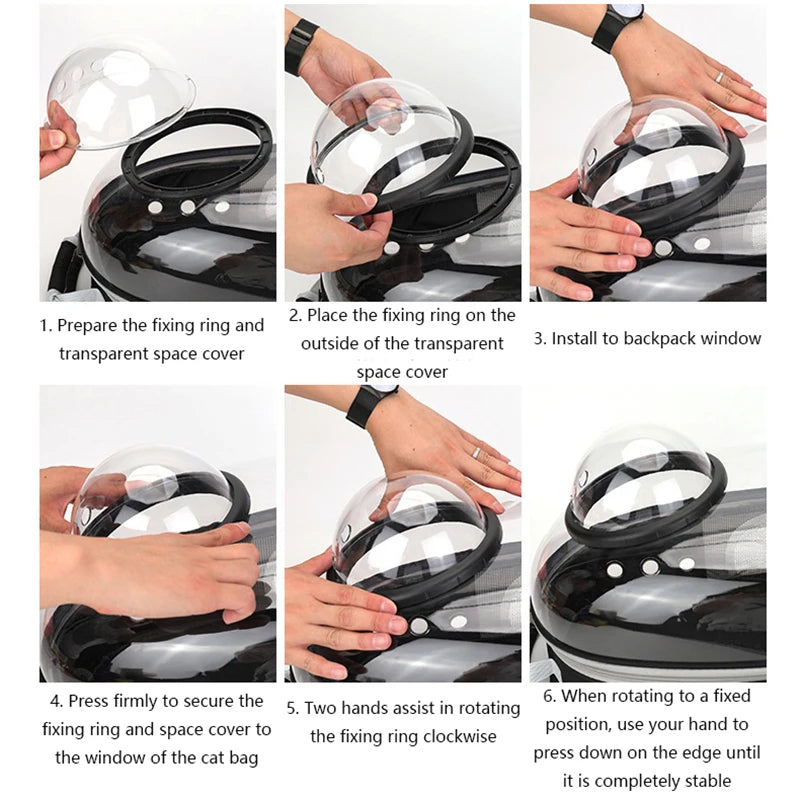 Cat looking out from MeowShelf Panorama ergonomic bubble travel backpack.