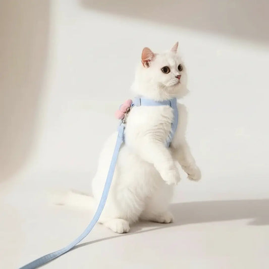 MeowShelf Petal Stroll premium escape-proof cat harness and leash set.