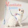 Load image into Gallery viewer, Cat exploring outdoors in aesthetic MeowShelf Petal Stroll harness set.
