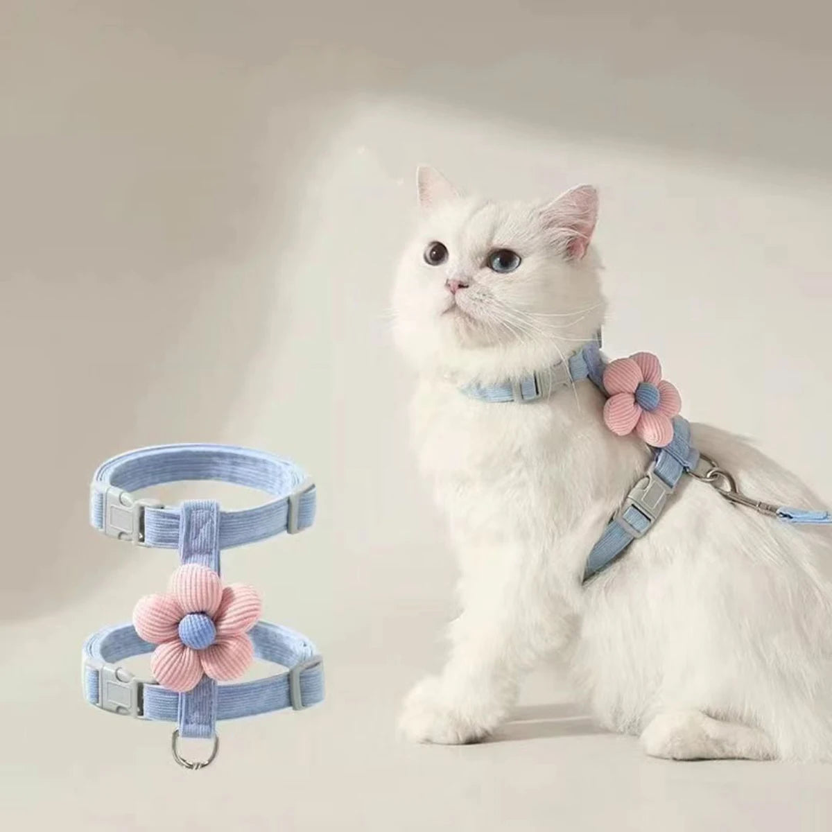 Owner holding leash of cat wearing MeowShelf Petal Stroll outdoor harness.